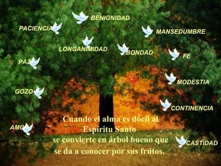 Cuando el alma es dócil al Espíritu Santo  se convierte en árbol bueno que se da a conocer por sus frutos.   AMOR PACIENCIA LONGANIMIDAD GOZO PAZ BENIGNIDAD BONDAD MANSEDUMBRE FE CONTINENCIA CASTIDAD MODESTIA 
