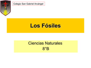 Los Fósiles Ciencias Naturales  8°B Colegio San Gabriel Arcángel 