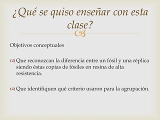 ¿Qué se quiso enseñar con esta 
clase? 
 
Objetivos conceptuales 
 Que reconozcan la diferencia entre un fósil y una réplica 
siendo éstas copias de fósiles en resina de alta 
resistencia. 
 Que identifiquen qué criterio usaron para la agrupación. 
 