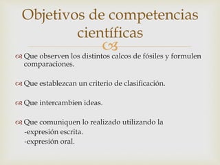 Objetivos de competencias 
científicas 
 
 Que observen los distintos calcos de fósiles y formulen 
comparaciones. 
 Que establezcan un criterio de clasificación. 
 Que intercambien ideas. 
 Que comuniquen lo realizado utilizando la 
-expresión escrita. 
-expresión oral. 
 