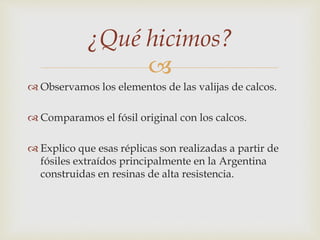 ¿Qué hicimos? 
 
 Observamos los elementos de las valijas de calcos. 
 Comparamos el fósil original con los calcos. 
 Explico que esas réplicas son realizadas a partir de 
fósiles extraídos principalmente en la Argentina 
construidas en resinas de alta resistencia. 
 