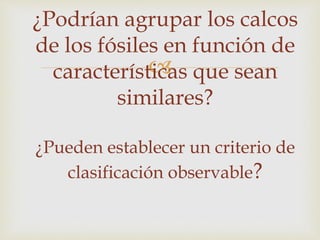 ¿Podrían agrupar los calcos 
de los fósiles en función de 
 
características que sean 
similares? 
¿Pueden establecer un criterio de 
clasificación observable? 
 