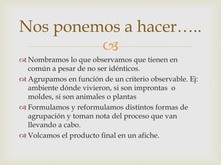 Nos ponemos a hacer….. 
 
 Nombramos lo que observamos que tienen en 
común a pesar de no ser idénticos. 
 Agrupamos en función de un criterio observable. Ej: 
ambiente dónde vivieron, si son improntas o 
moldes, si son animales o plantas 
 Formulamos y reformulamos distintos formas de 
agrupación y toman nota del proceso que van 
llevando a cabo. 
 Volcamos el producto final en un afiche. 
 
