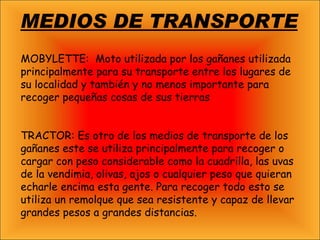 MEDIOS DE TRANSPORTE MOBYLETTE:  Moto utilizada por los gañanes utilizada principalmente para su transporte entre los lugares de su localidad y también y no menos importante para recoger pequeñas cosas de sus tierras TRACTOR: Es otro de los medios de transporte de los gañanes este se utiliza principalmente para recoger o cargar con peso considerable como la cuadrilla, las uvas de la vendimia, olivas, ajos o cualquier peso que quieran echarle encima esta gente. Para recoger todo esto se utiliza un remolque que sea resistente y capaz de llevar grandes pesos a grandes distancias. 