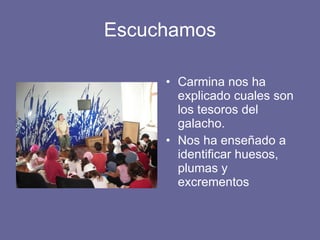 Escuchamos Carmina nos ha explicado cuales son los tesoros del galacho. Nos ha enseñado a identificar huesos, plumas y excrementos 