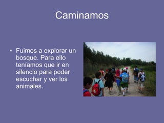 Caminamos Fuimos a explorar un bosque. Para ello teníamos que ir en silencio para poder escuchar y ver los animales. 
