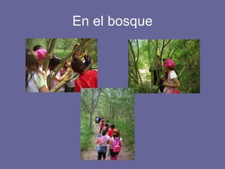 En el bosque 