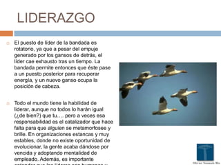 LIDERAZGO
 El puesto de líder de la bandada es
rotatorio, ya que a pesar del empuje
generado por los gansos de detrás, el
líder cae exhausto tras un tiempo. La
bandada permite entonces que éste pase
a un puesto posterior para recuperar
energía, y un nuevo ganso ocupa la
posición de cabeza.
 Todo el mundo tiene la habilidad de
liderar, aunque no todos lo harán igual
(¿de bien?) que tu…. pero a veces esa
responsabilidad es el catalizador que hace
falta para que alguien se metamorfosee y
brille. En organizaciones estancas y muy
estables, donde no existe oportunidad de
evolucionar, la gente acaba dándose por
vencida y adoptando mentalidad de
empleado. Además, es importante
 
