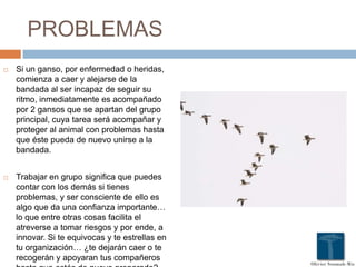 PROBLEMAS
 Si un ganso, por enfermedad o heridas,
comienza a caer y alejarse de la
bandada al ser incapaz de seguir su
ritmo, inmediatamente es acompañado
por 2 gansos que se apartan del grupo
principal, cuya tarea será acompañar y
proteger al animal con problemas hasta
que éste pueda de nuevo unirse a la
bandada.
 Trabajar en grupo significa que puedes
contar con los demás si tienes
problemas, y ser consciente de ello es
algo que da una confianza importante…
lo que entre otras cosas facilita el
atreverse a tomar riesgos y por ende, a
innovar. Si te equivocas y te estrellas en
tu organización… ¿te dejarán caer o te
recogerán y apoyaran tus compañeros
 