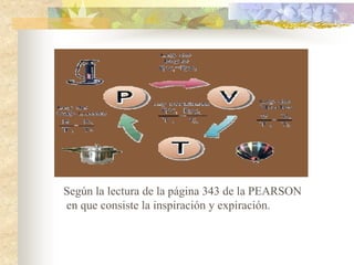Según la lectura de la página 343 de la PEARSON
en que consiste la inspiración y expiración.
 