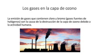 Los gases en la capa de ozono
La emisión de gases que contienen cloro y bromo (gases fuentes de
halógenos) son la causa de la destrucción de la capa de ozono debido a
la actividad humana.
 