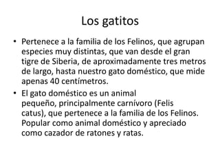 Los gatitos
• Pertenece a la familia de los Felinos, que agrupan
  especies muy distintas, que van desde el gran
  tigre de Siberia, de aproximadamente tres metros
  de largo, hasta nuestro gato doméstico, que mide
  apenas 40 centímetros.
• El gato doméstico es un animal
  pequeño, principalmente carnívoro (Felis
  catus), que pertenece a la familia de los Felinos.
  Popular como animal doméstico y apreciado
  como cazador de ratones y ratas.
 