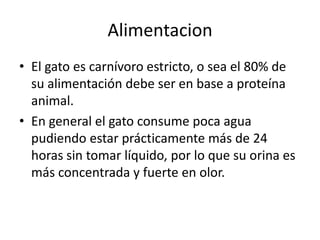 Alimentacion
• El gato es carnívoro estricto, o sea el 80% de
  su alimentación debe ser en base a proteína
  animal.
• En general el gato consume poca agua
  pudiendo estar prácticamente más de 24
  horas sin tomar líquido, por lo que su orina es
  más concentrada y fuerte en olor.
 