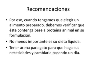 Recomendaciones
• Por eso, cuando tengamos que elegir un
  alimento preparado, debemos verificar que
  éste contenga base a proteína animal en su
  formulación.
• No menos importante es su dieta líquida.
• Tener arena para gato para que haga sus
  necesidades y cambiarla pasando un día.
 
