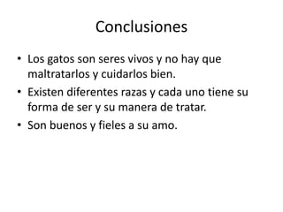 Conclusiones
• Los gatos son seres vivos y no hay que
  maltratarlos y cuidarlos bien.
• Existen diferentes razas y cada uno tiene su
  forma de ser y su manera de tratar.
• Son buenos y fieles a su amo.
 