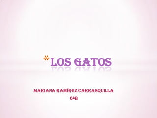 * LOS GATOS
Mariana Ramírez Carrasquilla
            6ªB
 