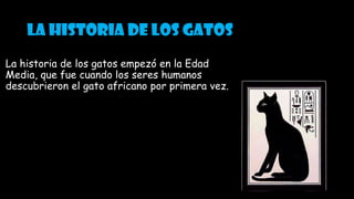 La historia de los gatos
La historia de los gatos empezó en la Edad
Media, que fue cuando los seres humanos
descubrieron el gato africano por primera vez.
 