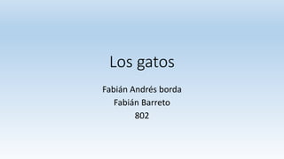 Los gatos 
Fabián Andrés borda 
Fabián Barreto 
802 
 