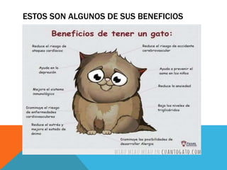 ESTOS SON ALGUNOS DE SUS BENEFICIOS
 