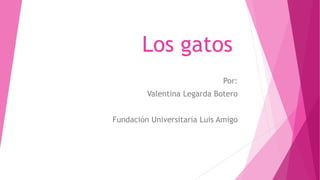 Los gatos
Por:
Valentina Legarda Botero
Fundación Universitaria Luis Amigo
 