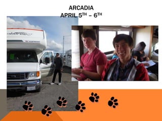 ARCADIA
APRIL 5TH – 6TH