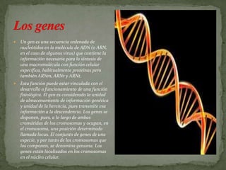    Un gen es una secuencia ordenada de
    nucleótidos en la molécula de ADN (o ARN,
    en el caso de algunos virus) que contiene la
    información necesaria para la síntesis de
    una macromolécula con función celular
    específica, habitualmente proteínas pero
    también ARNm, ARNr y ARNt.
   Esta función puede estar vinculada con el
    desarrollo o funcionamiento de una función
    fisiológica. El gen es considerado la unidad
    de almacenamiento de información genética
    y unidad de la herencia, pues transmite esa
    información a la descendencia. Los genes se
    disponen, pues, a lo largo de ambas
    cromátidas de los cromosomas y ocupan, en
    el cromosoma, una posición determinada
    llamada locus. El conjunto de genes de una
    especie, y por tanto de los cromosomas que
    los componen, se denomina genoma. Los
    genes están localizados en los cromosomas
    en el núcleo celular.
 