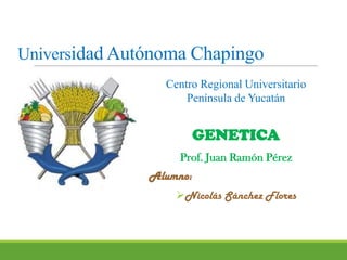 Universidad Autónoma Chapingo
Centro Regional Universitario
Península de Yucatán

GENETICA
Prof. Juan Ramón Pérez
Alumno:
Nicolás Sánchez Flores

 