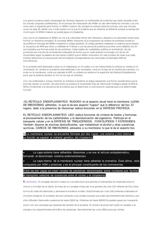 Los genes humanos están compuestos de intrones (regiones no codificantes de proteína) que están situados entre
los exones (regiones codificantes). En el proceso de maduración del ARNm se van eliminando los intrones y se une
cada exón al siguiente para formar un ARNm maduro. No siempre se utilizan todos los exones, sino que muchas
veces se deja de utilizar uno o más exones con lo que la proteína que se sintetiza es diferente aunque provenga del
mismo gen. El ARNm maduro ya puede pasar al citoplasma.
Una vez en el citoplasma el ARNm se une a la subunidad menor del ribosoma y después a la subunidad mayor para
formar un ribosoma completo. El complejo ARNm-ribosoma es la maquinaria de síntesis de proteínas donde se
decodifica el mensaje del ARNm mediante el código genético. El código genético establece un sistema para traducir
la secuencia de ARN que tiene un alfabeto de 4 letras a una secuencia de proteína que tiene como alfabeto los 20
aminoácidos que forman parte de las proteínas. Cada triplete de nucleótidos codifica un aminoácido. Así las
proteínas son una tira de aminoácidos enlazados de forma que en cada posición se escogió uno de los 20
disponibles según la palabra de tres letras (codón) que el ARNm contuviera. En este proceso de hacer que cada
triplete determine la incorporación del aminoácido correspondiente son esenciales los llamados ARN de
transferencia.
Si la proteína está destinada a estar en el citoplasma, en el núcleo o en las mitocondrias la síntesis se realiza en el
citoplasma. En cambio si la proteína está destinada a ser secretada, como en el caso de la insulina por ejemplo, o a
estar en la membrana, como por ejemplo la APP, su síntesis se realiza en la superficie del Retículo Endoplásmico
para que la proteína penetre en él a la vez que se sintetiza.
Una vez sintetizada o incluso mientras se sintetiza la proteína se pliega adoptando una forma característica que le
permite ejercer su función. De esta forma se produce el importante flujo de información biológica desde el ADN al
ARN y finalmente a la secuencia de la proteína que al determinar su estructura le capacita para una determinada
función.
4EL RETÍCULO ENDOPLASMATICO RUGOSO en el aspecto visual tiene la membrana LLENA
DE RIBOSOMAS adheridos, lo que le da ese aspecto "rugoso" que lo diferencia del liso. El
rugoso, dado a la presencia de ribosomas realiza funciones en la SÍNTESIS PROTEICA.
EL RETÍCULO ENDOPLASMATICO LISO realiza funciones de síntesis de lípidos y hormonas
el procesamiento de los carbohidratos y la desintoxicación del organismo. Participa en el
transporte celular y en la SÍNTESIS DE TRIGLICÉRIDOS, FOSFOLÍPIDOS Y ESTEROIDES.
También dispone de enzimas destoxificantes, que metabolizan el alcohol y otras sustancias
químicas. CARECE DE RIBOSOMAS adosados a su membrana lo que le da el aspecto liso.
5. La membrana nuclear se encuentra formada por dos capas, una externa y otra interna, y
su función es separar el material genético del citoplasma.
 La capa externa tiene adheridos ribosomas y se une al retículo endoplasmatico,
formando el denominado sistema endomembranoso.
 La capa interna de la membrana nuclear tiene adherida la cromatina. Esta ultima , esta
compuesta por ADN y proteínas y es el principal constituyente de los cromosomas.
Entre las dos capas se crean canales de preoteinas denominados poros nucleares,que facilitan
el transporte selectivo de sustancias entre el núcleo y el citoplasma.
6. Definición: El complejo del poro nuclear es una estructura que permite el intercambio de moléculas entre el
citosol y el núcleo de la célula. Se trata de un complejo molecular muy grande (de unos 125 millones de Da), tiene
forma de cesta de baloncesto y atraviesa la envoltura nuclear. Está formado por unas 100 proteínas ordenadas en
simetría ortogonal. El complejo del poro presenta unos canales acuosos que están permanentemente abiertos y por
ellos difunden libremente sustancias de hasta 5000 Da. Proteínas de hasta 60000 Da pueden pasar por transporte
activo con una velocidad que depende del tamaño de la proteína. El número de poros del núcleo es variable y se
adapta a los requerimientos del tráfico de sustancias. Normalmente hay unos 3000 poros por núcleo.
 