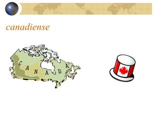 canadiense
 