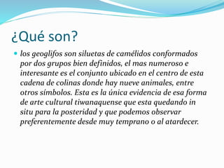¿Qué son?
 los geoglifos son siluetas de camélidos conformados
por dos grupos bien definidos, el mas numeroso e
interesante es el conjunto ubicado en el centro de esta
cadena de colinas donde hay nueve animales, entre
otros símbolos. Esta es la única evidencia de esa forma
de arte cultural tiwanaquense que esta quedando in
situ para la posteridad y que podemos observar
preferentemente desde muy temprano o al atardecer.
 