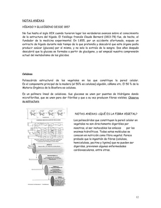 NOTAS ANEXAS

HÍGADO Y GLUCÓGENO DESDE 1857

No fue hasta el siglo XIX cuando tuvieron lugar los verdaderos avances sobre el conocimiento
de la estructura del hígado. El fisiólogo francés Claude Bernard (1813-78) fue, de hecho, el
fundador de la medicina experimental. En 1.855, por un accidente afortunado, expuso un
extracto de hígado durante más tiempo de lo que pretendía y descubrió que este órgano podía
producir azúcar (glucosa) por sí mismo, y no solo la extraía de la sangre. Dos años después
descubrió que la glucosa se formaba a partir de glucógeno, y así empezó nuestra comprensión
actual del metabolismo de los glúcidos.




Celulosa

Polisacárido estructural de los vegetales en los que constituye la pared celular.
Es el componente principal de la madera (el 50% es celulosa) algodón, cáñamo etc. El 50 % de la
Materia Orgánica de la Biosfera es celulosa.

Es un polímero lineal de celubiosa. Sus glucosas se unen por puentes de Hidrógeno dando
microfibrillas, que se unen para dar fibrillas y que a su vez producen fibras visibles. Observa
su estructura.



                                           NOTAS ANEXAS: ¿QUÉ ES LA FIBRA VEGETAL?

                                         Los polisacáridos que constituyen la pared celular en
                                         vegetales no son directamente digeribles por
                                         nosotros, al ser inatacables los enlaces    por los
                                         enzimas hidrolíticos. Todas estas moléculas se
                                         conocen en nutrición como fibra vegetal. Parece
                                         probado que la ingestión de fibras (celulosa,
                                         hemicelulosa, pectina y lignina) que no pueden ser
                                         digeridas, previenen algunas enfermedades
                                         cardiovasculares, entre otras.




                                                                                               12
 