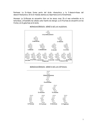 Pentosas: La D-ribosa forma parte del ácido ribonucleico y la 2-desoxirribosa del
desoxirribonucleico. En la D-ribulosa destaca su importancia en la fotosíntesis.

Hexosas: La D-Glucosa se encuentra libre en los seres vivos. Es el mas extendido en la
naturaleza, utilizandólo las células como fuente de energía. La D-fructosa se encuentra en los
frutos y la D-galactosa en la leche.

                     MONOSACÁRIDOS. SERIE D DE LAS ALDOSAS.




                      MONOSACÁRIDOS. SERIE D DE LAS CETOSAS.




                                                                                            5
 