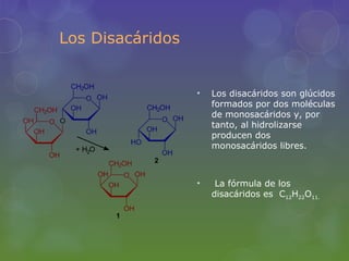 Los Disacáridos


                  •   Los disacáridos son glúcidos
                      formados por dos moléculas
                      de monosacáridos y, por
                      tanto, al hidrolizarse
                      producen dos
                      monosacáridos libres.



                  •    La fórmula de los
                      disacáridos es C12H22O11.
 