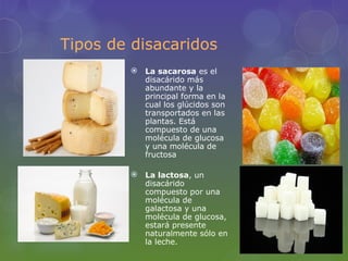 Tipos de disacaridos
         La sacarosa es el
          disacárido más
          abundante y la
          principal forma en la
          cual los glúcidos son
          transportados en las
          plantas. Está
          compuesto de una
          molécula de glucosa
          y una molécula de
          fructosa

         La lactosa, un
          disacárido
          compuesto por una
          molécula de
          galactosa y una
          molécula de glucosa,
          estará presente
          naturalmente sólo en
          la leche.
 