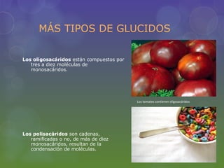 MÁS TIPOS DE GLUCIDOS

Los oligosacáridos están compuestos por
   tres a diez moléculas de
   monosacáridos.




                                          Los tomates contienen oligosacáridos




Los polisacáridos son cadenas,
   ramificadas o no, de más de diez
   monosacáridos, resultan de la
   condensación de moléculas.
 
