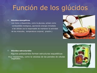 Función de los glúcidos
   Glúcidos energéticos
    Los mono y disacáridos, como la glucosa, actúan como
     combustibles biológicos, aportando energía inmediata
     a las células (es la responsable de mantener la actividad
    de los músculos, temperatura corporal, presión.)




   Glúcidos estructurales
    Algunos polisacáridos forman estructuras esqueléticas
muy resistentes, como la celulosa de las paredes de células
  vegetales.
 