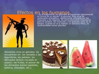 Efectos en los humanos.presentan básicamente
                    . En el organismo, los glúcidos se
                             en forma de un azúcar: la glucosa. Ésta sirve de
                             carburante energético, rápidamente utilizable por los
                             músculos y los órganos. Es particularmente importante
                             para el cerebro, los músculos y los glóbulos rojos de la
                             sangre. Cuando se va a realizar un ejercicio físico, es
                             recomendable tomar glúcidos




Alimentos ricos en glúcidos. Se
encuentran en: los cereales y las
legumbres; las patatas; los
derivados lácteos (excepto el
queso); las frutas; el azúcar de
los alimentos dulces (pasteles,
bollería, chocolate, etc.).
 