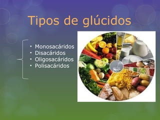 Tipos de glúcidos
•   Monosacáridos
•   Disacáridos
•   Oligosacáridos
•   Polisacáridos
 