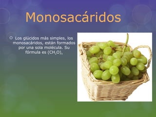 Monosacáridos
 Los glúcidos más simples, los
 monosacáridos, están formados
   por una sola molécula. Su
       fórmula es (CH2O)n
 
