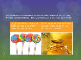 Aunque existen muchas decenas de monosacáridos, solamente dos, glucosa y
fructosa, son realmente importantes, como tales, en el mundo de los alimentos.

     La glucosa es el hidrato de          La fructosa es una forma de
     carbono más elemental y              azúcar encontrada en las
     esencial para la vida.               frutas y en la miel
 