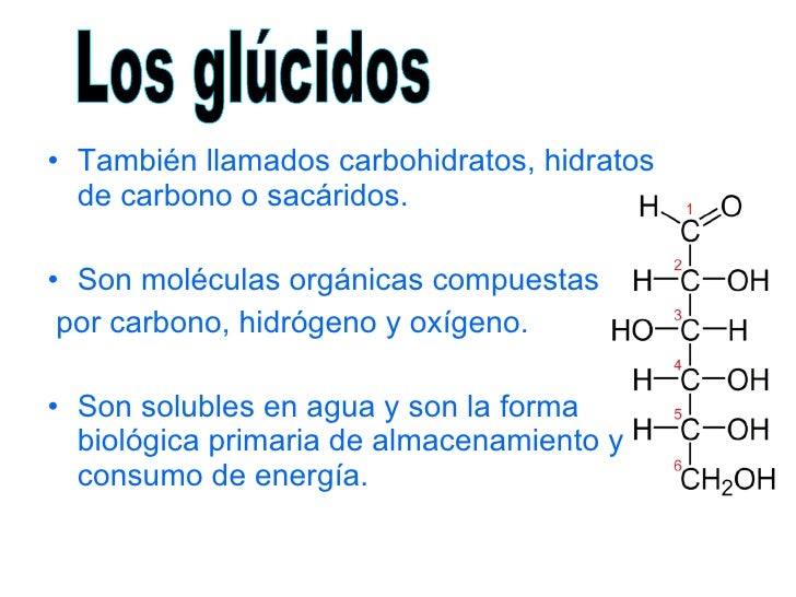 Los glucidos Los glucidos