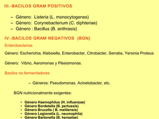 III.-BACILOS GRAM POSITIVOS Género:  Listeria (L. monocytogenes) Género:  Corynebacterium (C. diphteriae) Género : Bacillus (B. anthrasis) IV.-BACILOS GRAM NEGATIVOS  (BGN) Enterobacterias   Género: Escherichia, Klebsiella, Enterobacter, Citrobacter, Serratia, Yersinia Proteus Género:  Vibrio, Aeromonas y Plesiomonas. Bacilos no fermentadores   Géneros: Pseudomonas, Acinetobacter, etc. BGN nutricionalmente exigentes: Género Haemophilus (H. influenzae) Género Bordetella (B. pertussis) Género Brucella ( B. melitensis) Género Legionella (L. neumophila) Género Bartonella (B. henselae) 