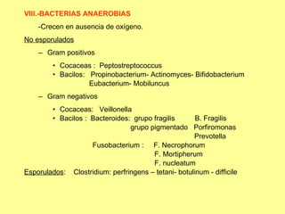 VIII.-BACTERIAS ANAEROBIAS  -Crecen en ausencia de oxígeno. No esporulados Gram positivos Cocaceas :  Peptostreptococcus Bacilos:  Propinobacterium- Actinomyces- Bifidobacterium Eubacterium- Mobiluncus Gram negativos Cocaceas:  Veillonella Bacilos :  Bacteroides:  grupo fragilis  B. Fragilis grupo pigmentado  Porfiromonas Prevotella Fusobacterium :  F. Necrophorum F. Mortipherum F. nucleatum Esporulados :  Clostridium: perfringens – tetani- botulinum - difficile 