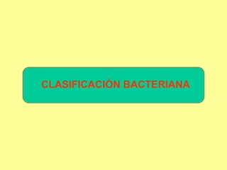 CLASIFICACIÓN BACTERIANA 