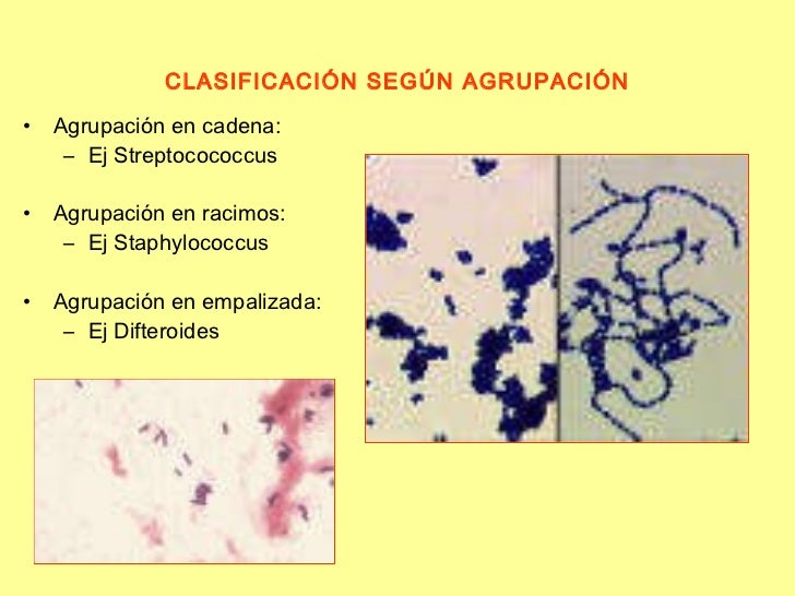 Losgram 100408011008-phpapp01 (1)