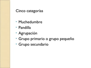 Cinco categorías Muchedumbre Pandilla Agrupación Grupo primario o grupo pequeño Grupo secundario 