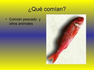 ¿Qué comían?
• Comían pescado y
otros animales