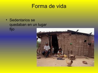 Forma de vida
• Sedentarios se
quedaban en un lugar
fijo