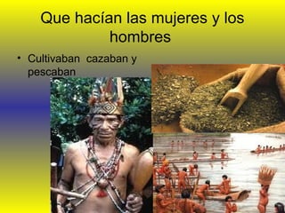 Que hacían las mujeres y los
hombres
• Cultivaban cazaban y
pescaban