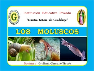 Institución Educativa Privada
“Nuestra Señora de Guadalupe”
Docente : Giuliana Churano Tinoco
 